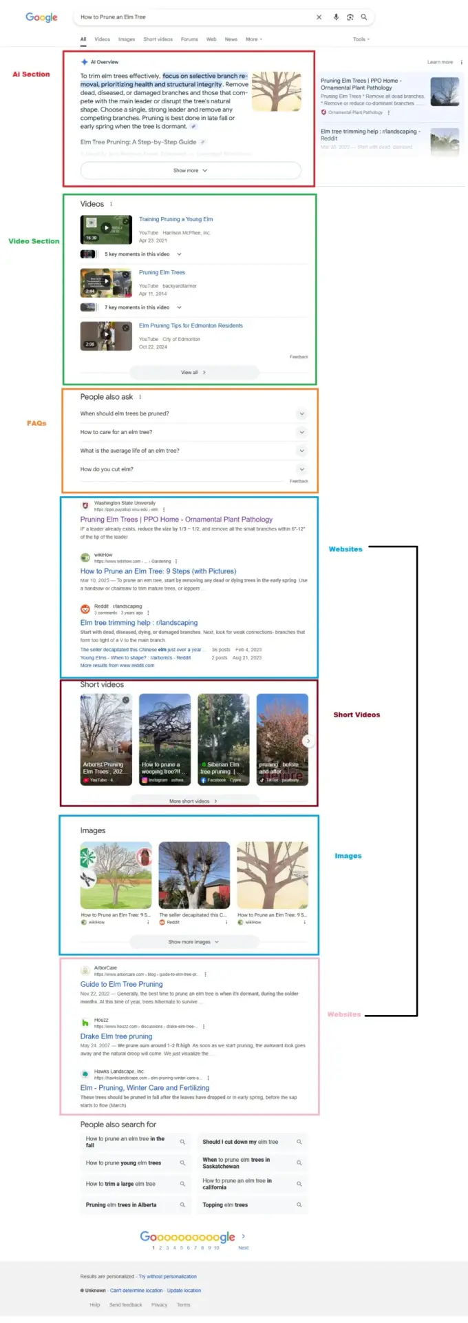 Google Search - How to Prune an Elm Tree